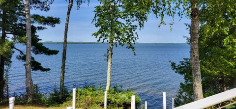 Tiny photo for 4456 Birch Forest Rd, Orr, MN 55771 (MLS # 6127340)