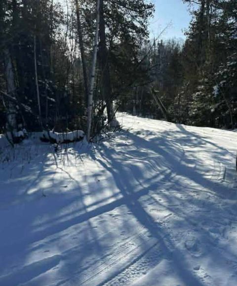 Tiny photo for 9426 Cramer Rd, Finland, MN 55603 (MLS # 6123297)