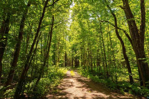 Tiny photo for 5162 Dickerman Rd, Saginaw, MN 55779 (MLS # 6126180)