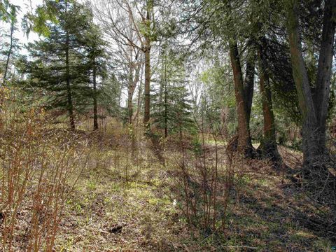 Tiny photo for YYY Big Cedar Trl, Lutsen, MN 55612 (MLS # 6125494)