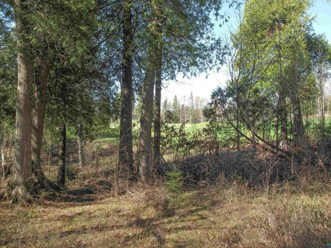 Tiny photo for YYY Big Cedar Trl, Lutsen, MN 55612 (MLS # 6125494)