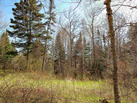 Tiny photo for YYY Big Cedar Trl, Lutsen, MN 55612 (MLS # 6125494)