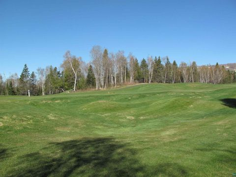 Tiny photo for YYY Big Cedar Trl, Lutsen, MN 55612 (MLS # 6125494)