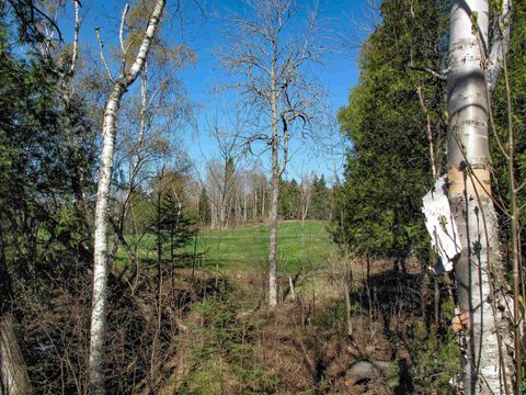 Tiny photo for YYY Big Cedar Trl, Lutsen, MN 55612 (MLS # 6125494)