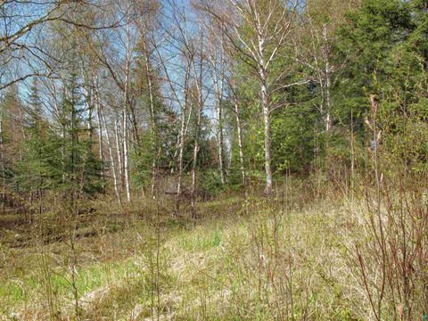 Tiny photo for YYY Big Cedar Trl, Lutsen, MN 55612 (MLS # 6125494)