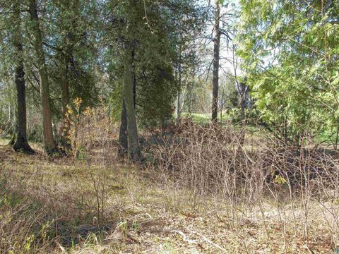 Tiny photo for YYY Big Cedar Trl, Lutsen, MN 55612 (MLS # 6125494)
