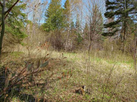 Tiny photo for YYY Big Cedar Trl, Lutsen, MN 55612 (MLS # 6125494)