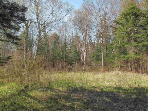 Tiny photo for YYY Big Cedar Trl, Lutsen, MN 55612 (MLS # 6125494)