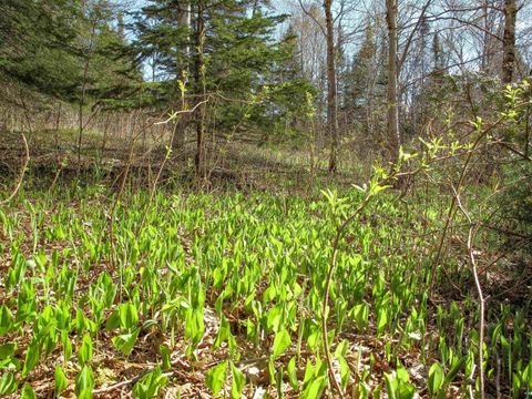 Tiny photo for YYY Big Cedar Trl, Lutsen, MN 55612 (MLS # 6125494)