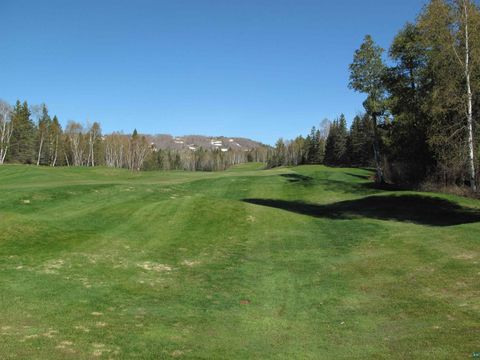 Tiny photo for YYY Big Cedar Trl, Lutsen, MN 55612 (MLS # 6125494)