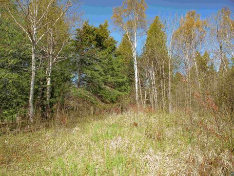Tiny photo for YYY Big Cedar Trl, Lutsen, MN 55612 (MLS # 6125494)