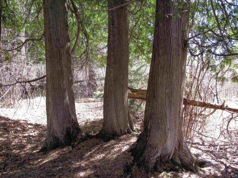 Tiny photo for YYY Big Cedar Trl, Lutsen, MN 55612 (MLS # 6125494)