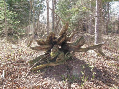 Tiny photo for YYY Big Cedar Trl, Lutsen, MN 55612 (MLS # 6125494)