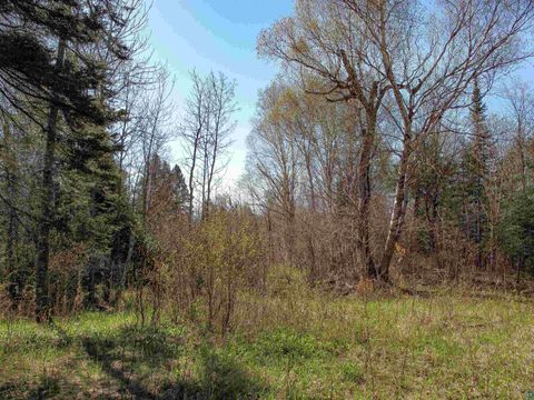 Tiny photo for YYY Big Cedar Trl, Lutsen, MN 55612 (MLS # 6125494)