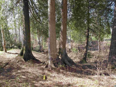 Tiny photo for YYY Big Cedar Trl, Lutsen, MN 55612 (MLS # 6125494)