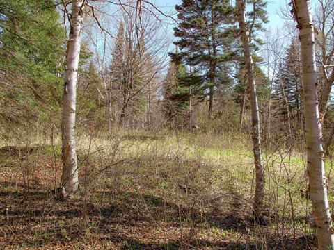 Tiny photo for YYY Big Cedar Trl, Lutsen, MN 55612 (MLS # 6125494)