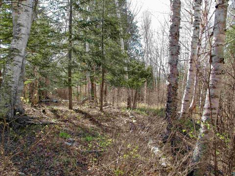 Tiny photo for YYY Big Cedar Trl, Lutsen, MN 55612 (MLS # 6125494)