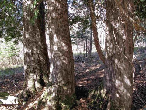 Tiny photo for YYY Big Cedar Trl, Lutsen, MN 55612 (MLS # 6125494)