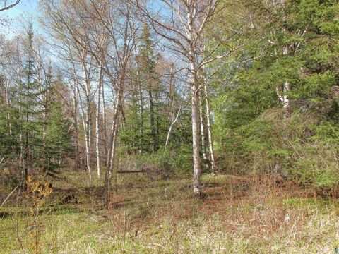 Tiny photo for YYY Big Cedar Trl, Lutsen, MN 55612 (MLS # 6125494)