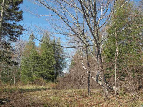Tiny photo for YYY Big Cedar Trl, Lutsen, MN 55612 (MLS # 6125494)