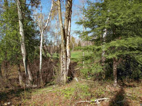 Tiny photo for YYY Big Cedar Trl, Lutsen, MN 55612 (MLS # 6125494)