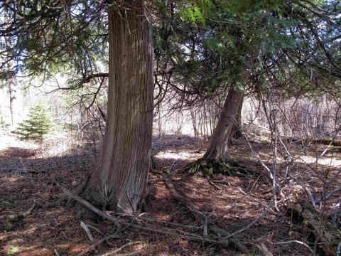 Tiny photo for YYY Big Cedar Trl, Lutsen, MN 55612 (MLS # 6125494)