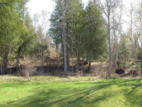 Tiny photo for YYY Big Cedar Trl, Lutsen, MN 55612 (MLS # 6125494)