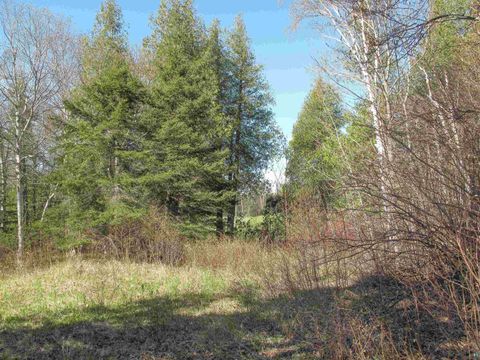 Photo of YYY Big Cedar Trl, Lutsen, MN 55612 (MLS # 6125494)