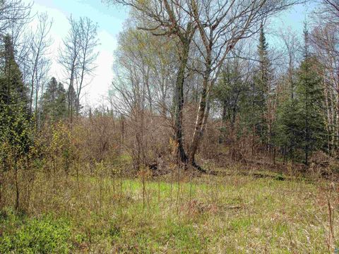 Tiny photo for YYY Big Cedar Trl, Lutsen, MN 55612 (MLS # 6125494)