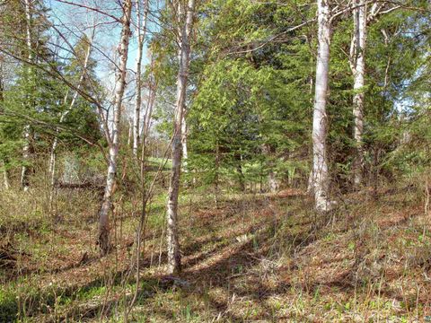 Tiny photo for YYY Big Cedar Trl, Lutsen, MN 55612 (MLS # 6125494)