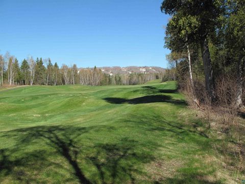Tiny photo for YYY Big Cedar Trl, Lutsen, MN 55612 (MLS # 6125494)