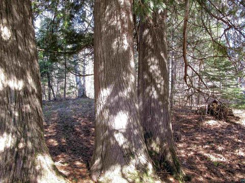 Tiny photo for YYY Big Cedar Trl, Lutsen, MN 55612 (MLS # 6125494)