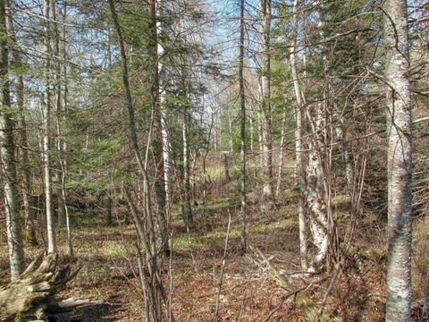 Tiny photo for YYY Big Cedar Trl, Lutsen, MN 55612 (MLS # 6125494)