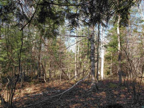 Tiny photo for YYY Big Cedar Trl, Lutsen, MN 55612 (MLS # 6125494)