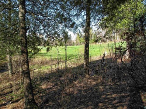 Tiny photo for YYY Big Cedar Trl, Lutsen, MN 55612 (MLS # 6125494)