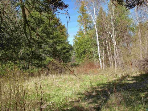 Tiny photo for YYY Big Cedar Trl, Lutsen, MN 55612 (MLS # 6125494)