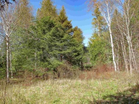 Tiny photo for YYY Big Cedar Trl, Lutsen, MN 55612 (MLS # 6125494)
