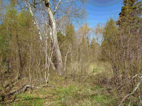 Tiny photo for YYY Big Cedar Trl, Lutsen, MN 55612 (MLS # 6125494)