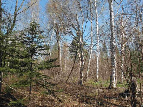 Tiny photo for YYY Big Cedar Trl, Lutsen, MN 55612 (MLS # 6125494)