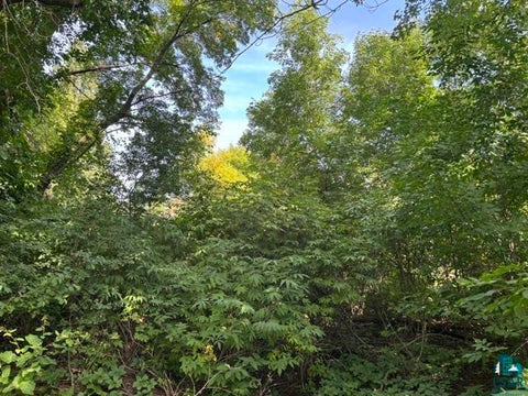 Tiny photo for 527 E Camp St, Ely, MN 55731 (MLS # 6127558)