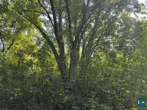 Tiny photo for 527 E Camp St, Ely, MN 55731 (MLS # 6127558)