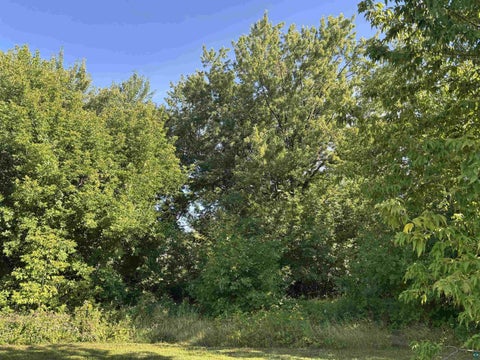 Tiny photo for 527 E Camp St, Ely, MN 55731 (MLS # 6127558)