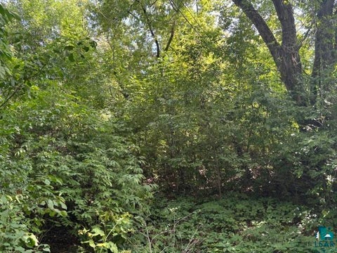 Tiny photo for 527 E Camp St, Ely, MN 55731 (MLS # 6127558)