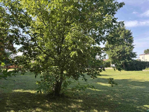 Tiny photo for 527 E Camp St, Ely, MN 55731 (MLS # 6127558)