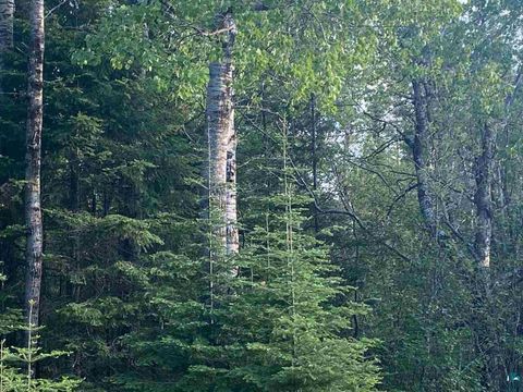 Tiny photo for 1 Lane 51, Aurora, MN 55705 (MLS # 6126614)