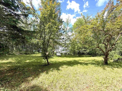 Tiny photo for 1787 North Bay Rd, Ely, MN 55731 (MLS # 6126232)