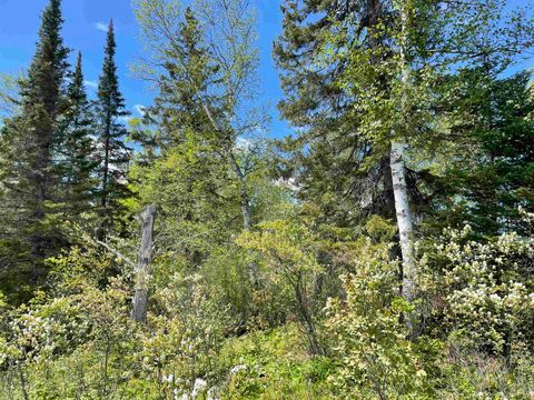 Tiny photo for XXXX Murray Forest Rd, Ely, MN 55731 (MLS # 6122985)