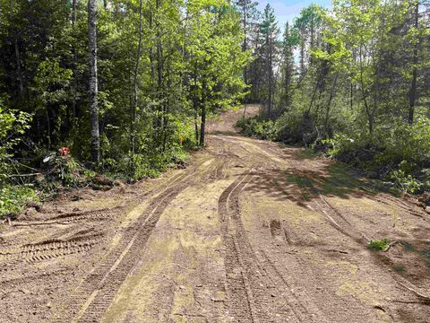 Tiny photo for XXXX Murray Forest Rd, Ely, MN 55731 (MLS # 6122985)