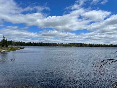 Tiny photo for XXXX Murray Forest Rd, Ely, MN 55731 (MLS # 6122985)