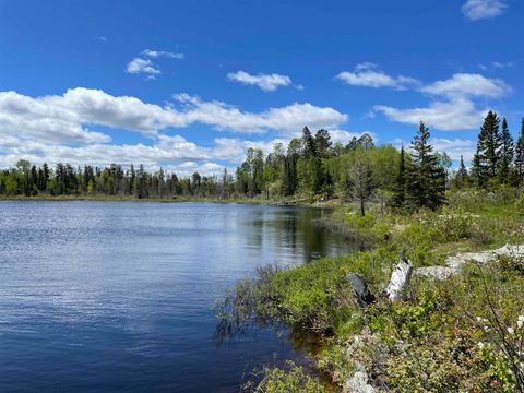 Photo of XXXX Murray Forest Rd, Ely, MN 55731 (MLS # 6122985)